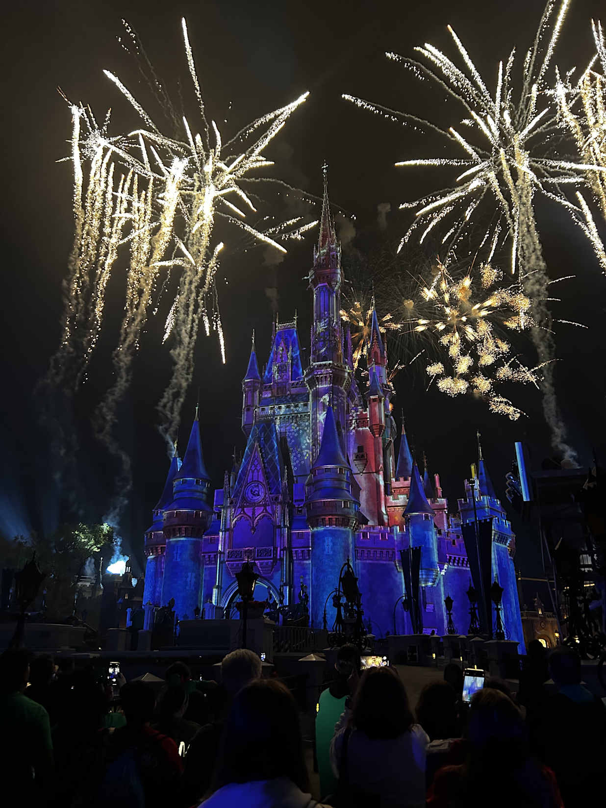 Disney Magic Kingdom